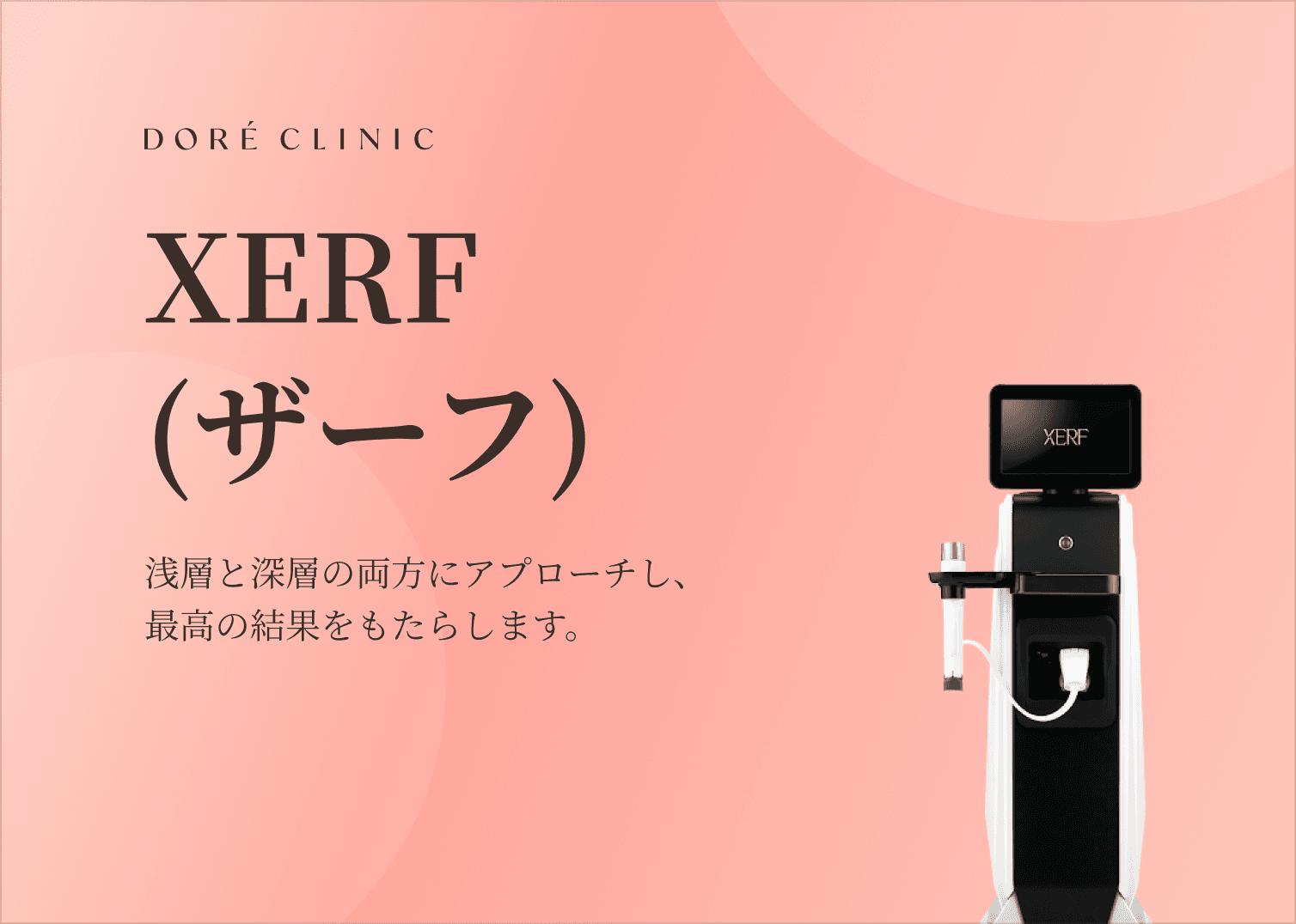 🎉XERF (セルフ) EVENT