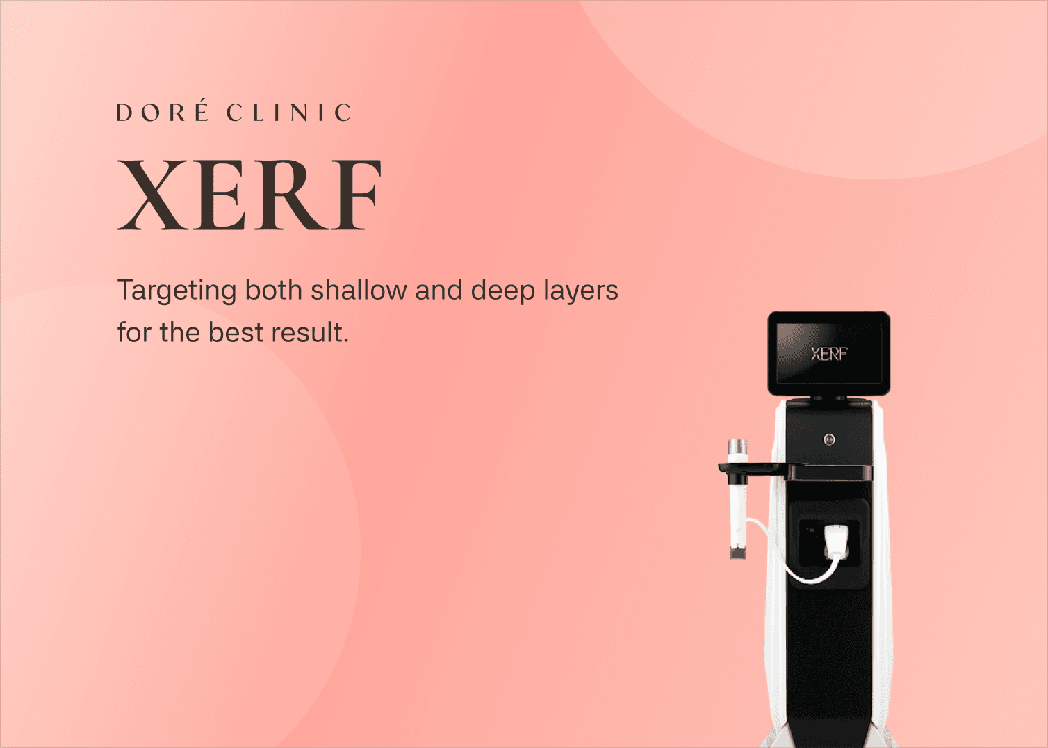 🎉XERF 세르프 EVENT